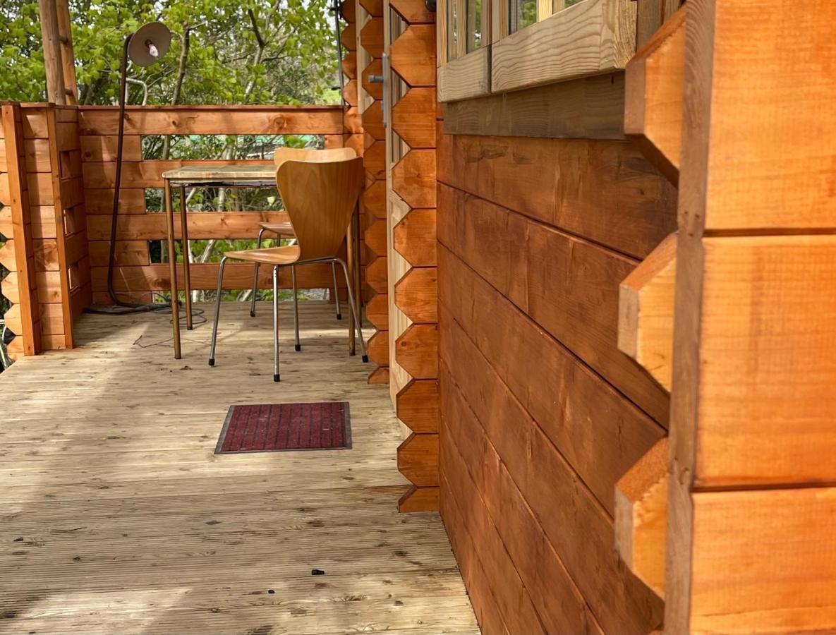 Retro Private Lodge With Hot Tub Nr Dartmoor Ньютон Эбэт Экстерьер фото